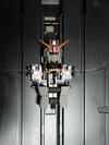 Mg_z